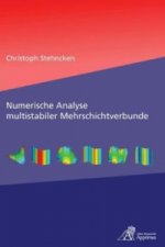 Numerische Analyse multistabiler Mehrschichtverbunde