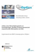 3DOptics - Aufbau einer Wertschöpfungskette zur kostengünstigen, flexiblen Fertigung geometrisch anspruchsvoller Mikrooptiken aus Glas