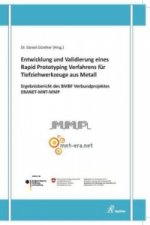 Entwicklung und Validierung eines Rapid Prototyping Verfahrens für Tiefziehwerkzeuge aus Metall - Ergebnisbericht des BMBF Verbundprojektes ERANET-MNT