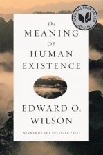 Meaning of Human Existence