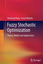 Fuzzy Stochastic Optimization
