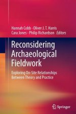 Reconsidering Archaeological Fieldwork
