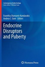 Endocrine Disruptors and Puberty