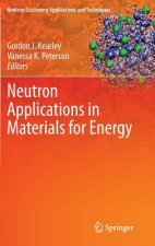 Neutron Applications in Materials for Energy