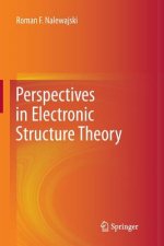 Perspectives in Electronic Structure Theory