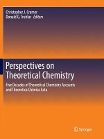 Perspectives on Theoretical Chemistry
