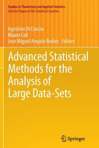Advanced Statistical Methods for the Analysis of Large Data-Sets