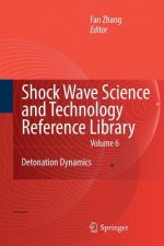 Shock Waves Science and Technology Library, Vol. 6
