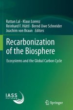 Recarbonization of the Biosphere