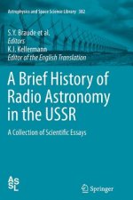 Brief History of Radio Astronomy in the USSR