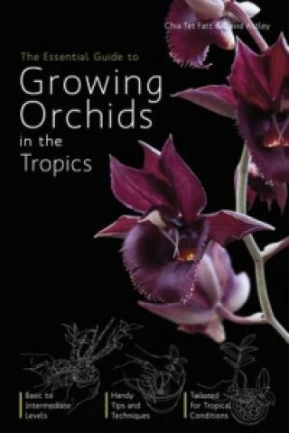 Essential Guide To Growing Orchids In The Tropics,