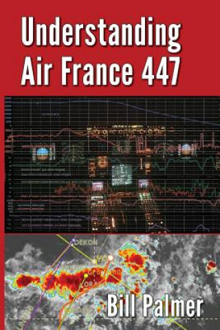 Understanding Air France 447