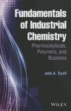 Fundamentals of Industrial Chemistry - Pharmaceuticals, Polymers, and Business