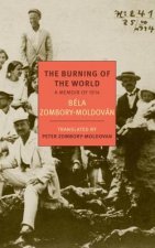 Burning Of The World