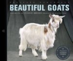 Beautiful Goats