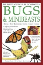 Illustrated Wildlife Encyclopedia: Bugs & Minibeasts