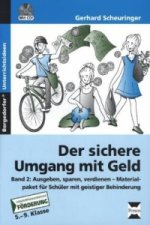 Der sichere Umgang mit Geld, Band 2, m. 1 CD-ROM. Bd.2