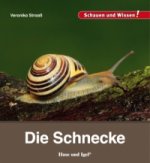 Die Schnecke