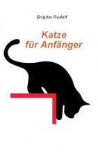 Katze fur Anfanger