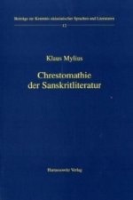 Chrestomathie der Sanskritliteratur