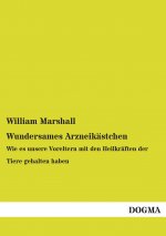 Wundersames Arzneikästchen