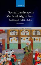 Sacred Landscape in Medieval Afghanistan