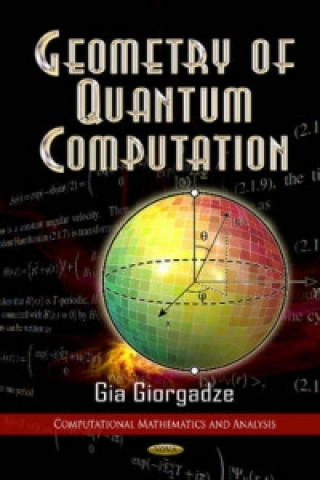 Geometry of Quantum Computations