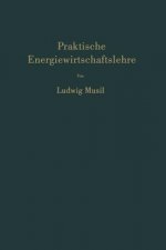 Praktische Energiewirtschaftslehre