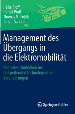 Management des UEbergangs in die Elektromobilitat