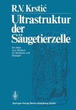 Ultrastruktur Der Saugetierzelle