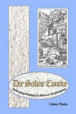 Die Saline Conow