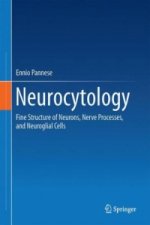 Neurocytology