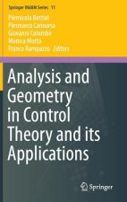 Analysis and Geometry in Control Theory and its Applications