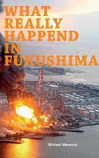 What really happened in Fukushima
