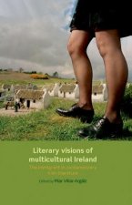 Literary Visions of Multicultural Ireland
