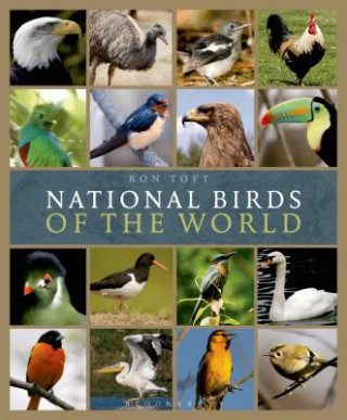 National Birds of the World