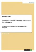 Organisation und Effizienz der (deutschen) Verwaltungen