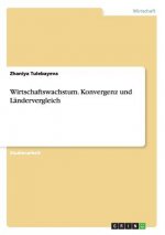 Wirtschaftswachstum. Konvergenz und Landervergleich