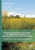 Eignung verschiedener Herkunfte von Silphium perfoliatum als Biogassubstrat im Vergleich zu Mais