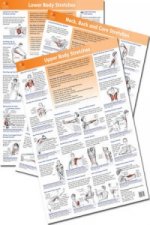 Anatomy of Stretching Posters