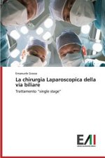 chirurgia Laparoscopica della via biliare