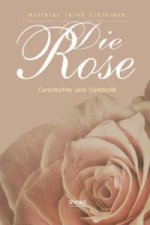 Die Rose: Geschichte und Symbolik