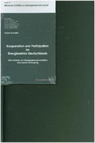 Kooperation und Partizipation im Energiesektor Deutschlands