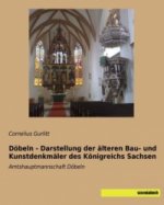 Döbeln - Darstellung der älteren Bau- und Kunstdenkmäler des Königreichs Sachsen