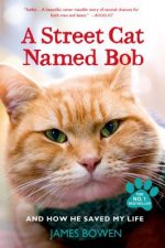 Street Cat Named Bob