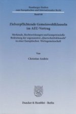 Zielverpflichtende Gemeinwohlklauseln im AEU-Vertrag.
