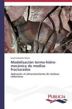 Modelizacion termo-hidro-mecanica de medios fracturados