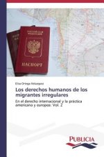 derechos humanos de los migrantes irregulares