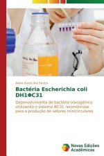Bacteria Escherichia coli DH1ΦC31