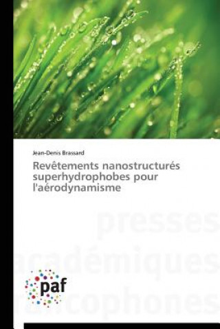 Revetements Nanostructures Superhydrophobes Pour l'Aerodynamisme